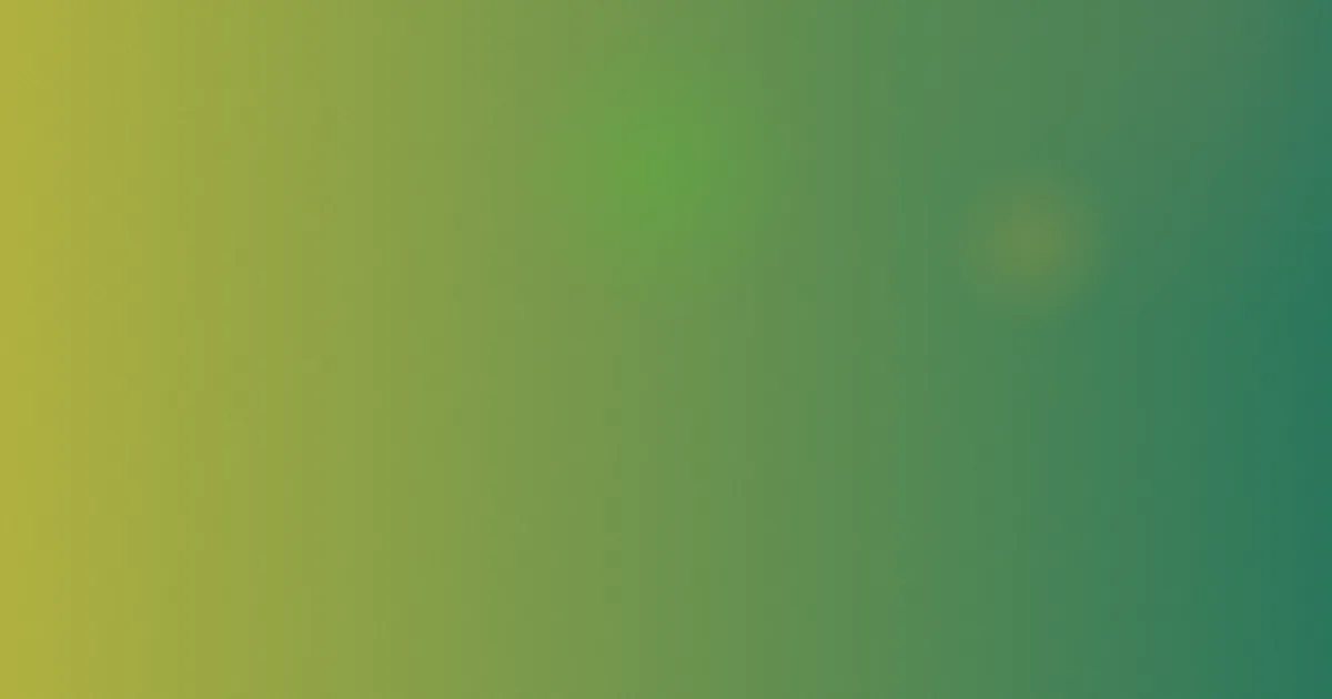 功夫小子推荐：新手这样选